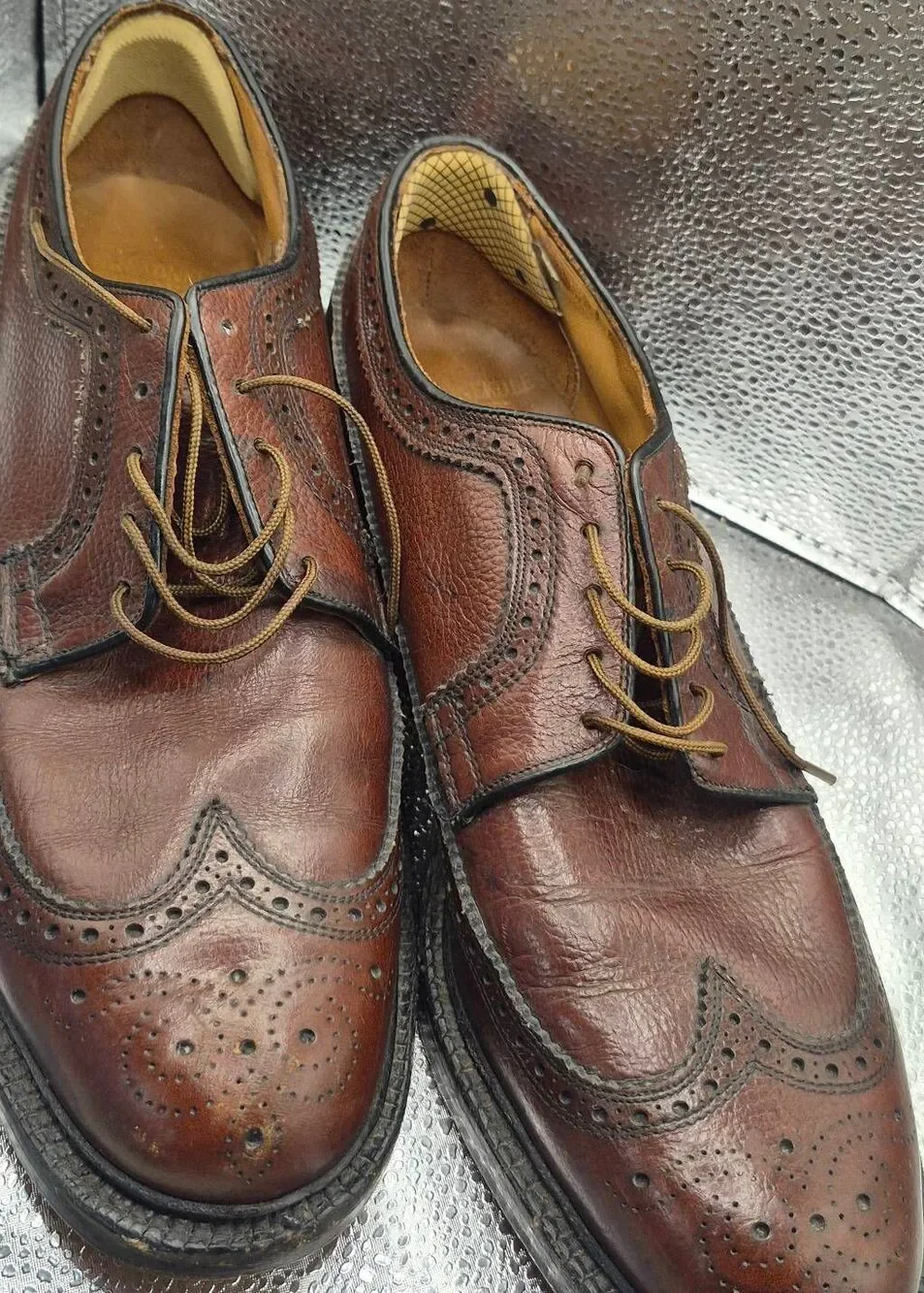 Boyd's wingtips